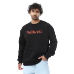Coup Collection – Crew Neck Cotton Blended Men’s Sweater – Regular Fit